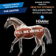 PUR.GASTRO premium grain-free horse feed promoting healthy stomach for sensitive horses.