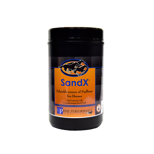 SAND X-PP USA