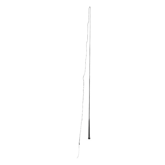 LUNGING WHIP
