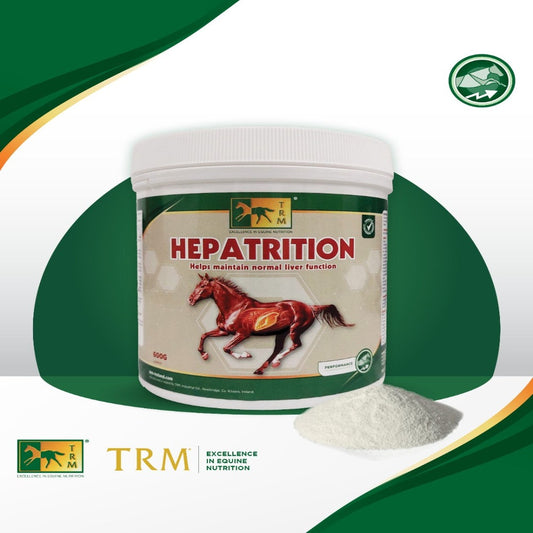 HEPATRITION-600 G-TRM
