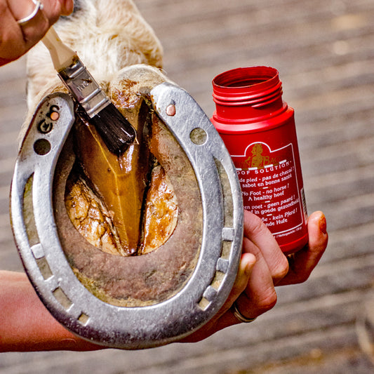 HOOF SOLUTION- 150 ML-KB