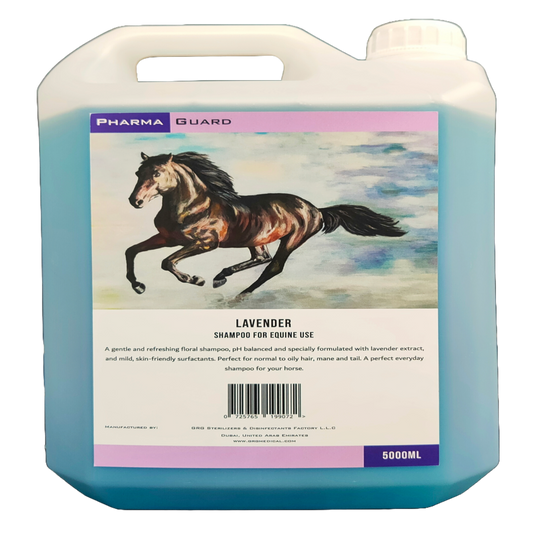 LAVENDER SHAMPOO-PG