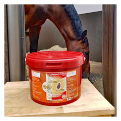 STOMACH-PROTEK ASSIST-1.6 KG-KB