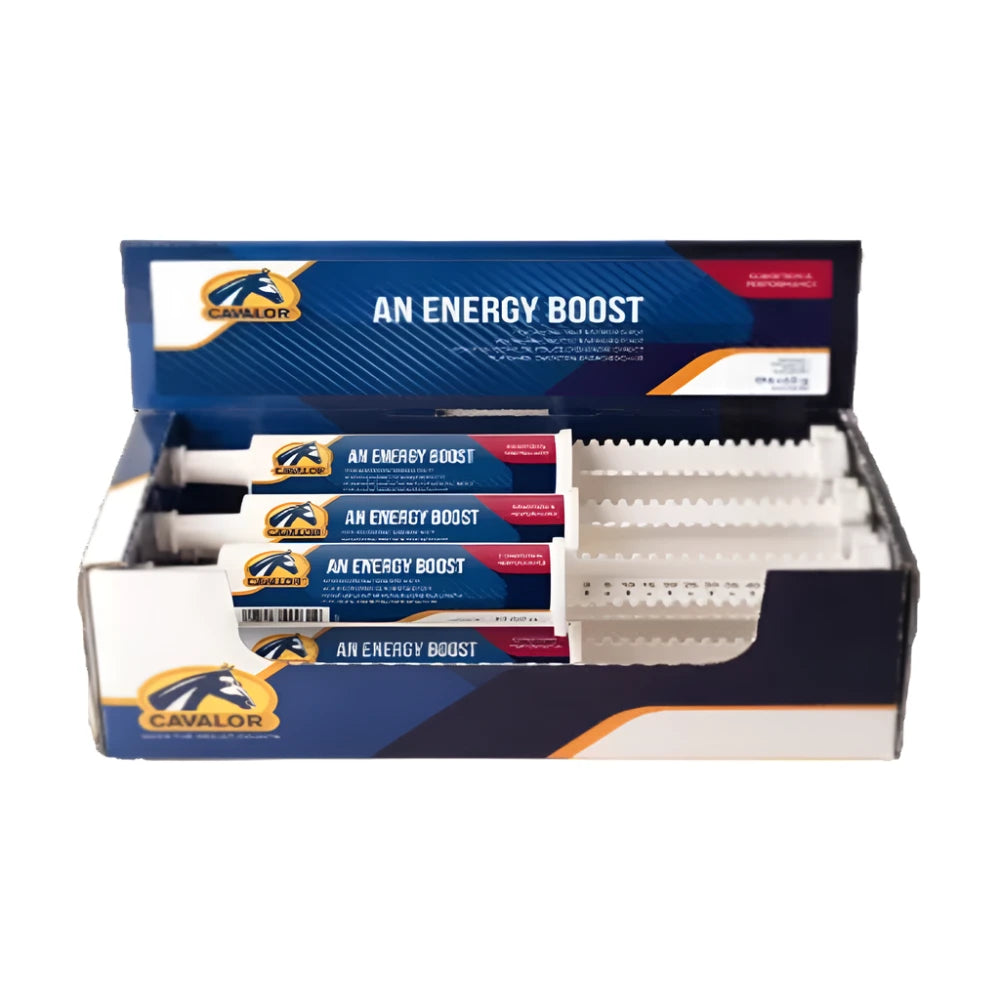 AN ENERGY BOOST SYRINGE-CAVALOR