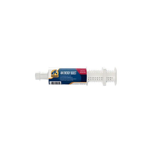 AN ENERGY BOOST SYRINGE-CAVALOR