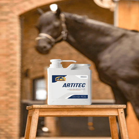 ARTITEC-2 L-CAVALOR