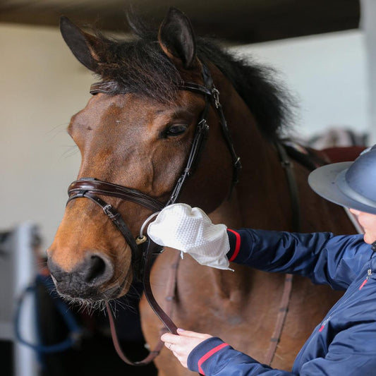 BELVOIR® TACK CLEANER MITTS-10 MITTS-CDM