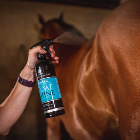 CANTER® COAT SHINE-500ML-CDM