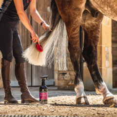 CANTER® MANE &TAIL-CDM