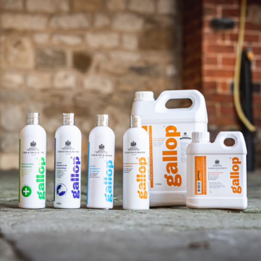 GALLOP® CONDITIONING SHAMPOO-CDM