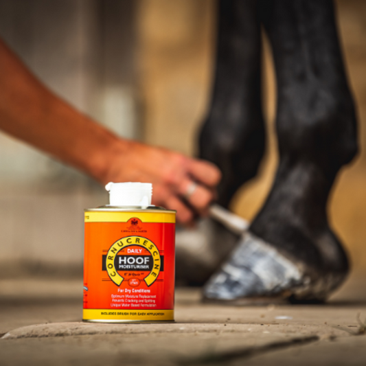 CORNUCRESCINE DAILY HOOF MOISTURISER-500 ML-CDM