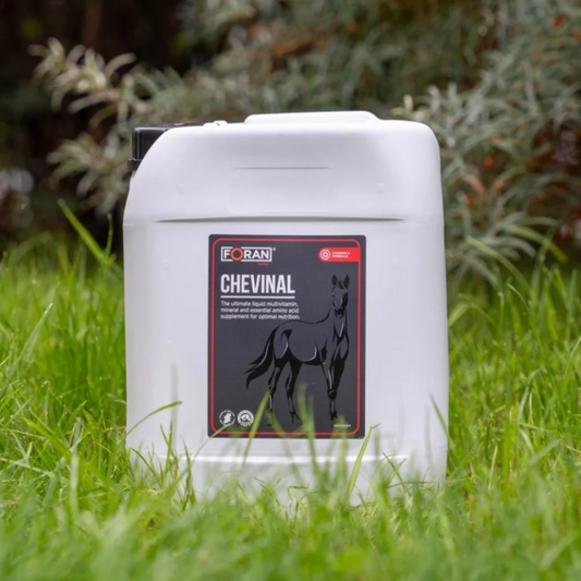 CHEVINAL-FORAN