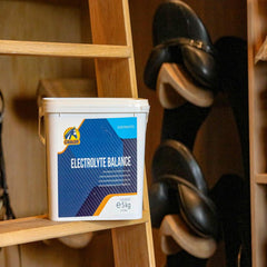 ELECTROLYTE BALANCE-5 KG-CAVALOR