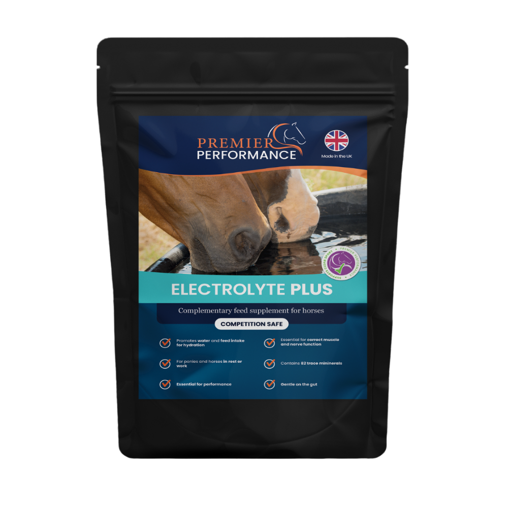 ELECTROLYTE PLUS GUT EASE-1080 G-PREMIER PERFORMANCE-UK
