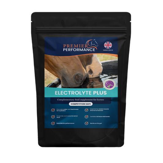 ELECTROLYTE PLUS GUT EASE-1080 G-PREMIER PERFORMANCE-UK