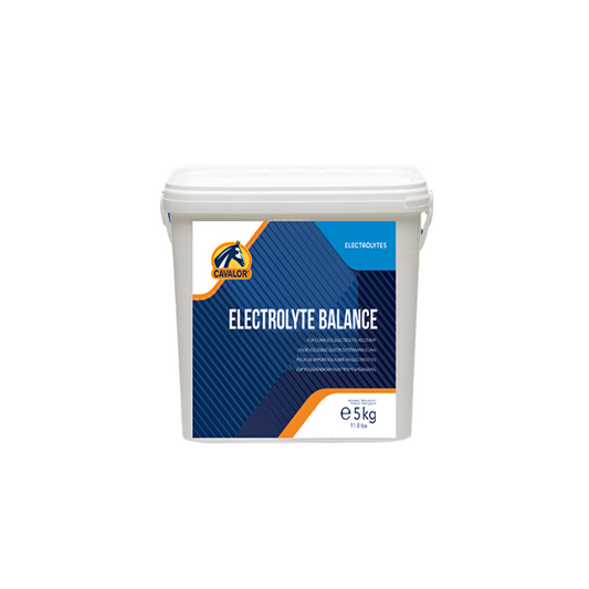 ELECTROLYTE BALANCE-5 KG-CAVALOR