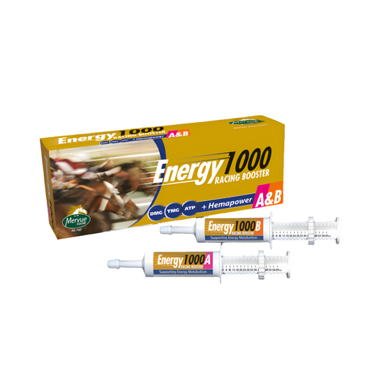 ENERGY 1000 A/B RACING BOOSTER-120 ML-MERVUE-IR
