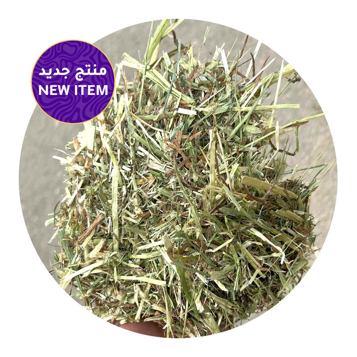 RYE GRASS big bale close-up showing high-quality forage for horses and livestock, new product in UAE by Al Zarrab.