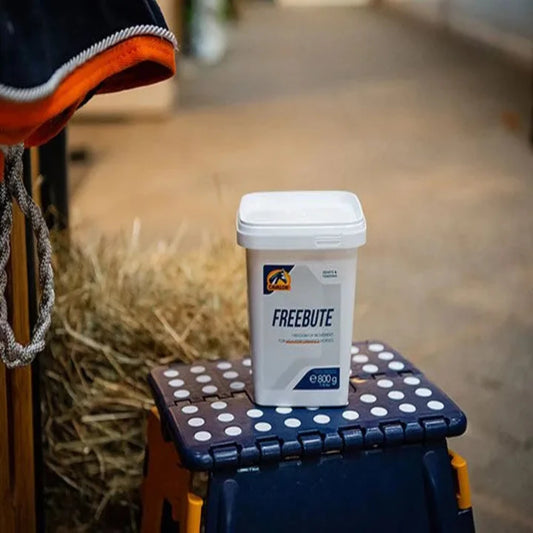 FREEBUTE POWDER-800G-CAVALOR