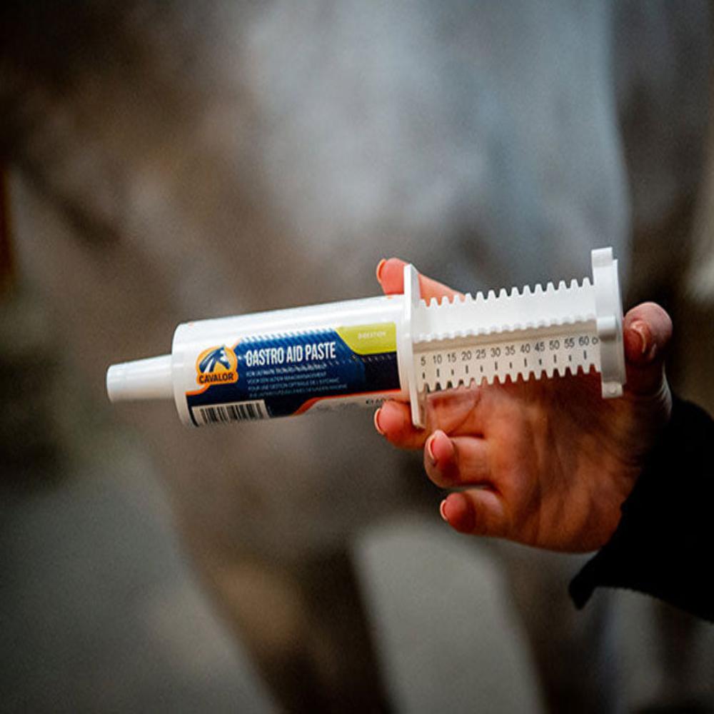 GASTRO AID PASTE-CAVALOR