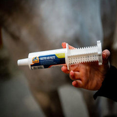 GASTRO AID PASTE-CAVALOR