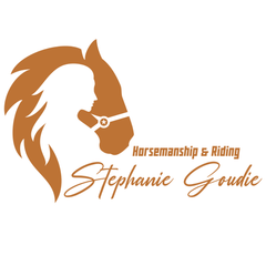 Logo of Horsemanship & Riding by Stephanie Goudie featuring a stylized horse and rider silhouette.N3F RIDING MASK