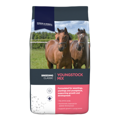 YOUNGSTOCK MIX-20 KG-D&H UK