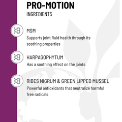 Pro Motion ingredients infographic highlighting MSM, Harpagophytum, and Ribes Nigrum & Green Lipped Mussel for joint health.