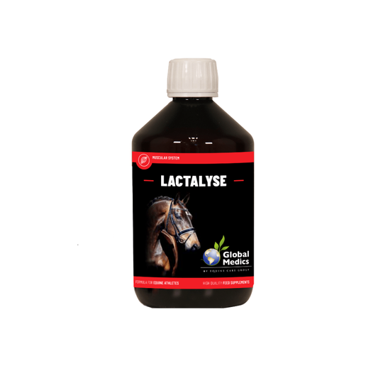 Lactalyse liquid supplement bottle for equine muscle support by Global Medics.