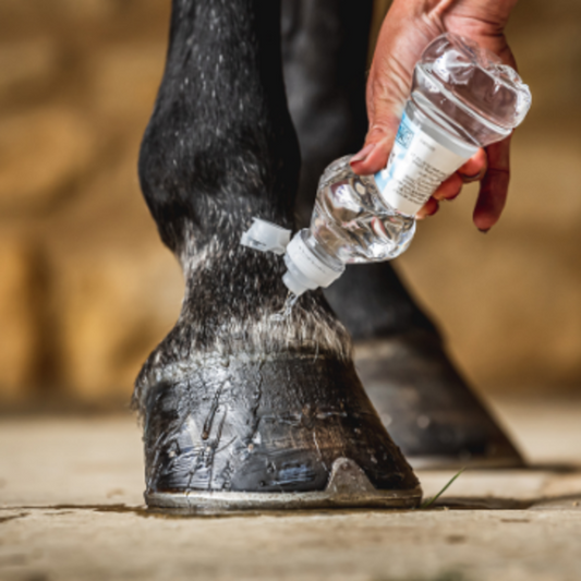 CORNUCRESCINE DAILY HOOF BARRIER-500 ML-CDM