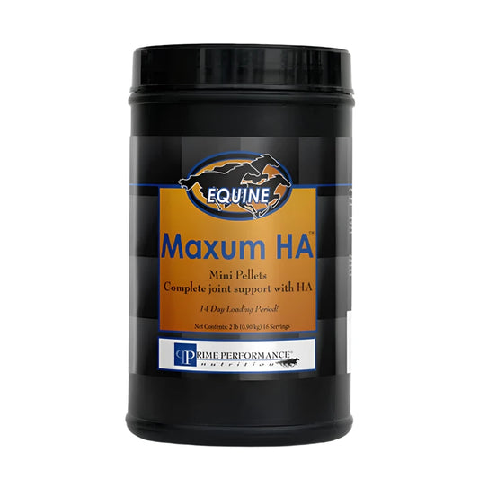 MAXUM HA ™- PP-USA