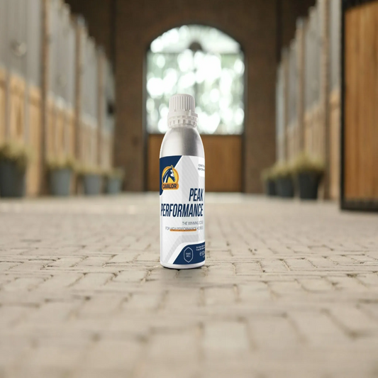 PEAK PERFORMANCE-500 ML-CAVALOR
