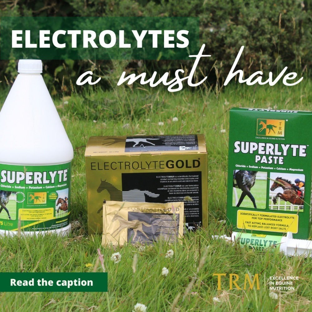 SUPERLYTE PASTE-3X70G-TRM 789