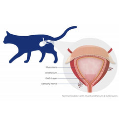 FURINAID PLUS-200ML-TRM PET