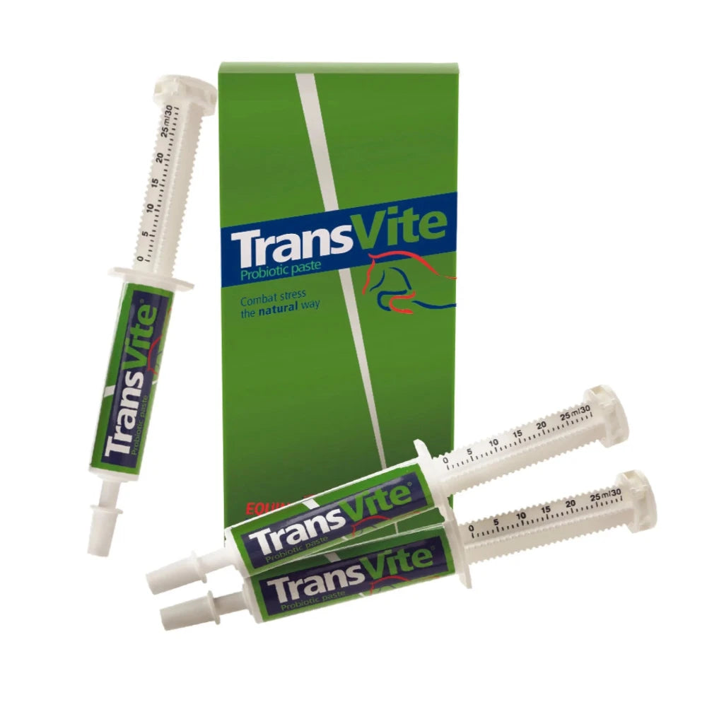 TRANSVITE PASTE-3X30G-EPUK