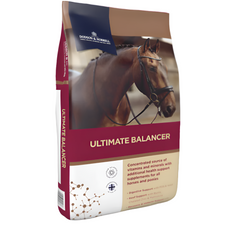 ULTIMATE BALANCER-20 KG-D&H UK