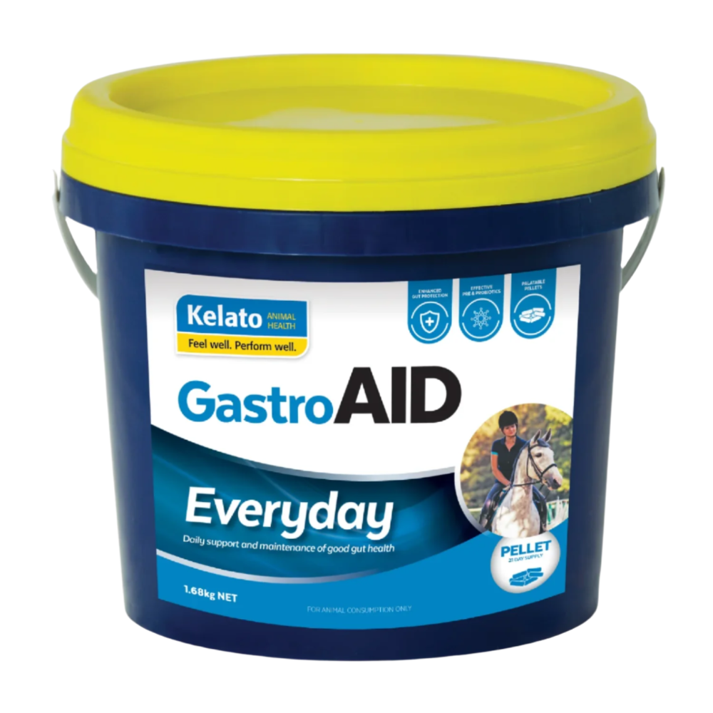 GASTROAID EVERYDAY-KELATO-AU 