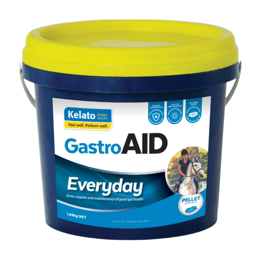 GASTROAID EVERYDAY-KELATO-AU