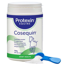 COSEQUIN EQUINE supplement powder in a container for horse joint health, supporting joint function with glucosamine.