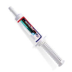 BUTeLESS HIGH STRENGTH PASTE in a syringe for joint and muscle support in horses and ponies.