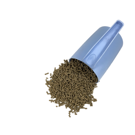 جهاز التوازن النهائي - 20 كجم - D&amp;H المملكة المتحدة 