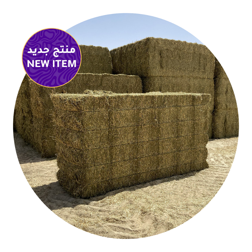 ALFALFA SUNCURED ECONOMY bales stacked in sunlight, premium-quality forage for livestock.