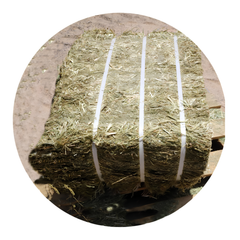 RYE GRASS hay bale wrapped and ready for use, ideal forage for horses and livestock in UAE.