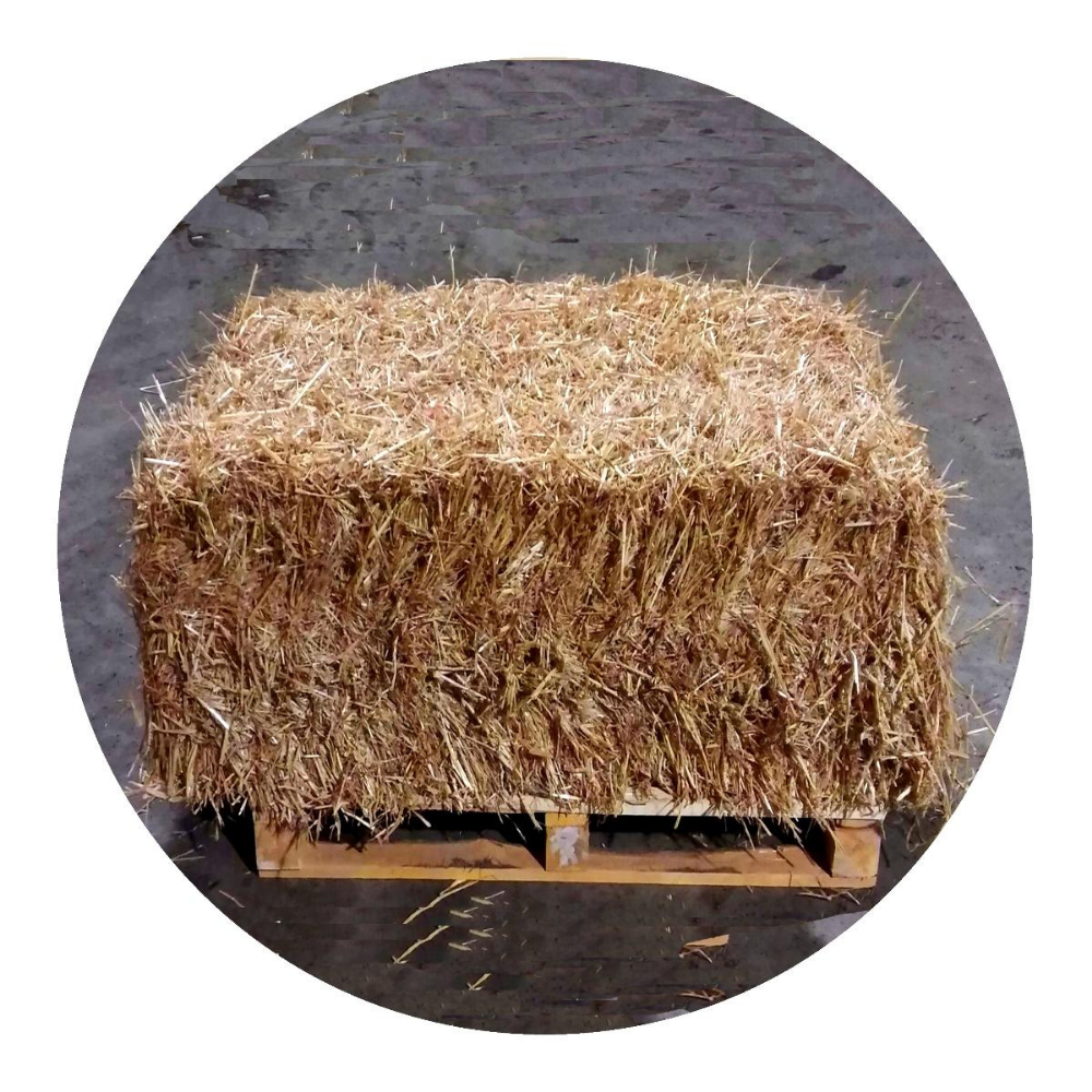 WHEAT STRAW bale on a wooden pallet, ideal forage for horses and livestock.