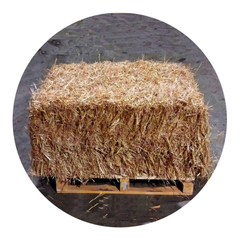 WHEAT STRAW bale on a wooden pallet, ideal forage for horses and livestock.