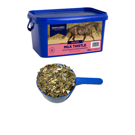 MILK THISTLE herbal supplement in a blue container with a measuring scoop for horse liver health support.