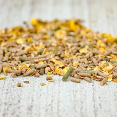 ACTION MIX by Cavalor Belgium, premium sports muesli for active horses, featuring flaked cereals.