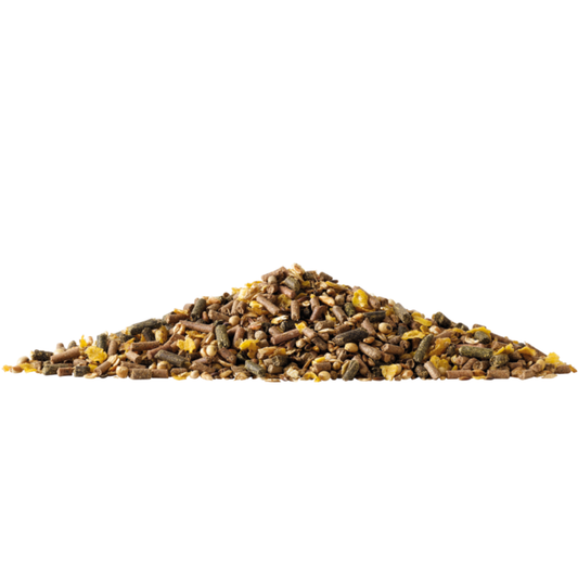 SHINE & SHOW muesli for horses, a blend of cereals, fibres, and vitamins for optimal health.