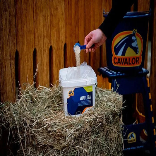 VITAFLORA-2KG-CAVALOR