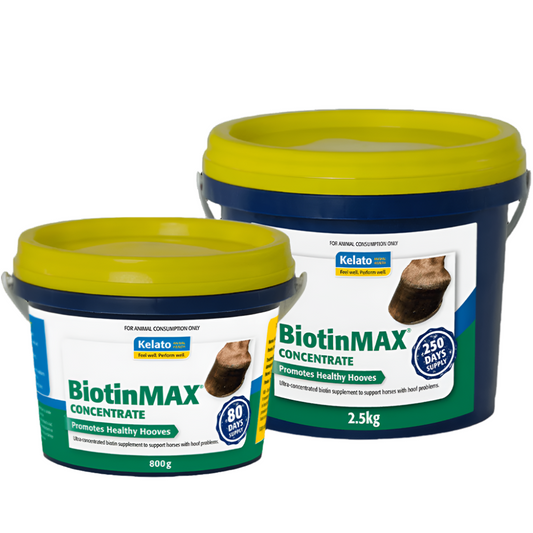BIOTINMAX CONCENTRATE-KELATO-AU